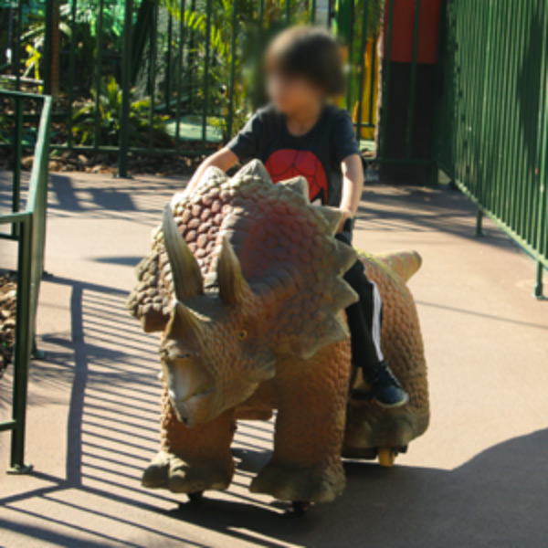 Dino Tour
